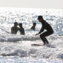 만리포니아 이미지