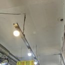 새절역2번출구 이미지