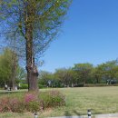 장자호수길 이미지