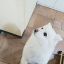 준이미용실