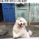 선류산장 이미지