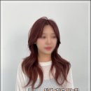 242-운정3-242 이미지