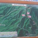 그린고속관광(주) 이미지