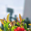 충렬사역 1번출구 이미지