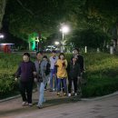 원광대학교박물관 이미지
