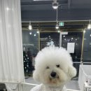 개린이살롱 이미지