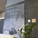 미사힐링스파 | 하남 미사 헤드스파 후기, 보그헤어 신세계백화점 하남점