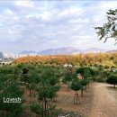 세븐일레븐 한강광나루1호점 이미지