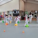 국가대표 K  태권도장 이미지