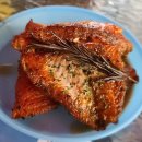 용구니아지트 이미지