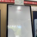안동시견인차량보관소 | [장소/리뷰] 안동 하회마을 8월 여름 방문 후기 (셔틀버스, 입장료 정보, 선유줄불놀이)
