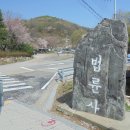 광교산(수리봉568m) 나물산행[2023.04.07(금)] 이미지