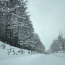 주정차071 | 홋카이도 가미후라노 미슐랭 소바집 「만사쿠」