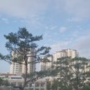 이니네일&공방