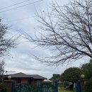 림스토리 이미지