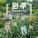 빨간지붕원주 | 주말 나들이 추천 원주 동화마을 수목원 입장료 및 주차 정보