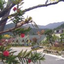 현대펜션 이미지