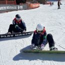 뽀삐뽀삐 | 비발디파크 렌탈샵 뽀삐스키에서 장비 렌탈한 솔직 후기