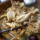 황금가든 이미지