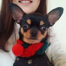 개토피아 이미지