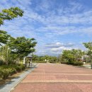 문암생태공원(반려견놀이터) 이미지