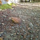 산속에아침 이미지