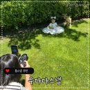 우다다(WOODADA) | 우다다스냅 파주일산돌스냅 내돈내산 정말 추천하고싶은 돌잔치촬영 솔직후기 서울경기돌스냅