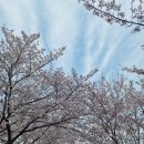 곡성 신기 구간 이미지