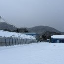 모니카의상실