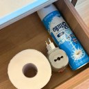 Stay 강화 이미지