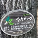 구덕산 유아숲체험원 이미지