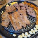 장수갈매기 이미지