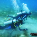 오션블루민박 이미지