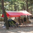 하조대캠핑카 이미지