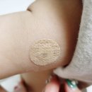 수막 목장 이미지