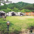 스타글램핑 | 영월 힐링 글램핑 추천! ‘영월스타글램핑’ 솔직 후기 🏕️🌿