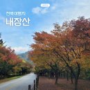 삼도봉터널화장실 | 내장산 등산코스 단풍터널 주차장 서래봉 신선봉 산행 시간