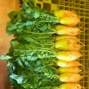 뽑고 또 뽑고 이미지