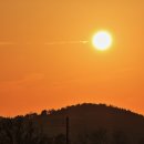 용호농장 2 이미지