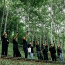 자연의소리 이미지