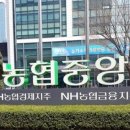 허브엠엔비