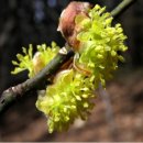 매정마을 이미지