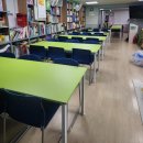 라인회의탁자와 레인보우 회의용의자