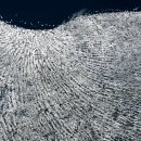 호수돈여자고등학교 이미지