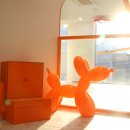 켈리 독, 강남 애견호텔 애견유치원 이미지