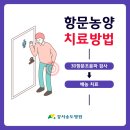 송 외과 이미지