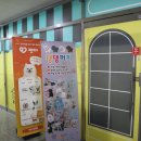 댕댕월드&퍼피 이미지