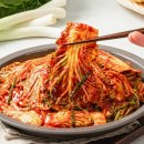 전라도김치