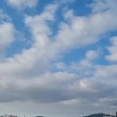 [제주여행]돌고래 에코투어 M1971 요트 투어 이미지