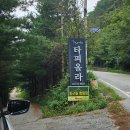 클럽타피올라 | 수영장이 예쁜 양평펜션 클럽타피올라 찐후기 (feat. 감자 200일)